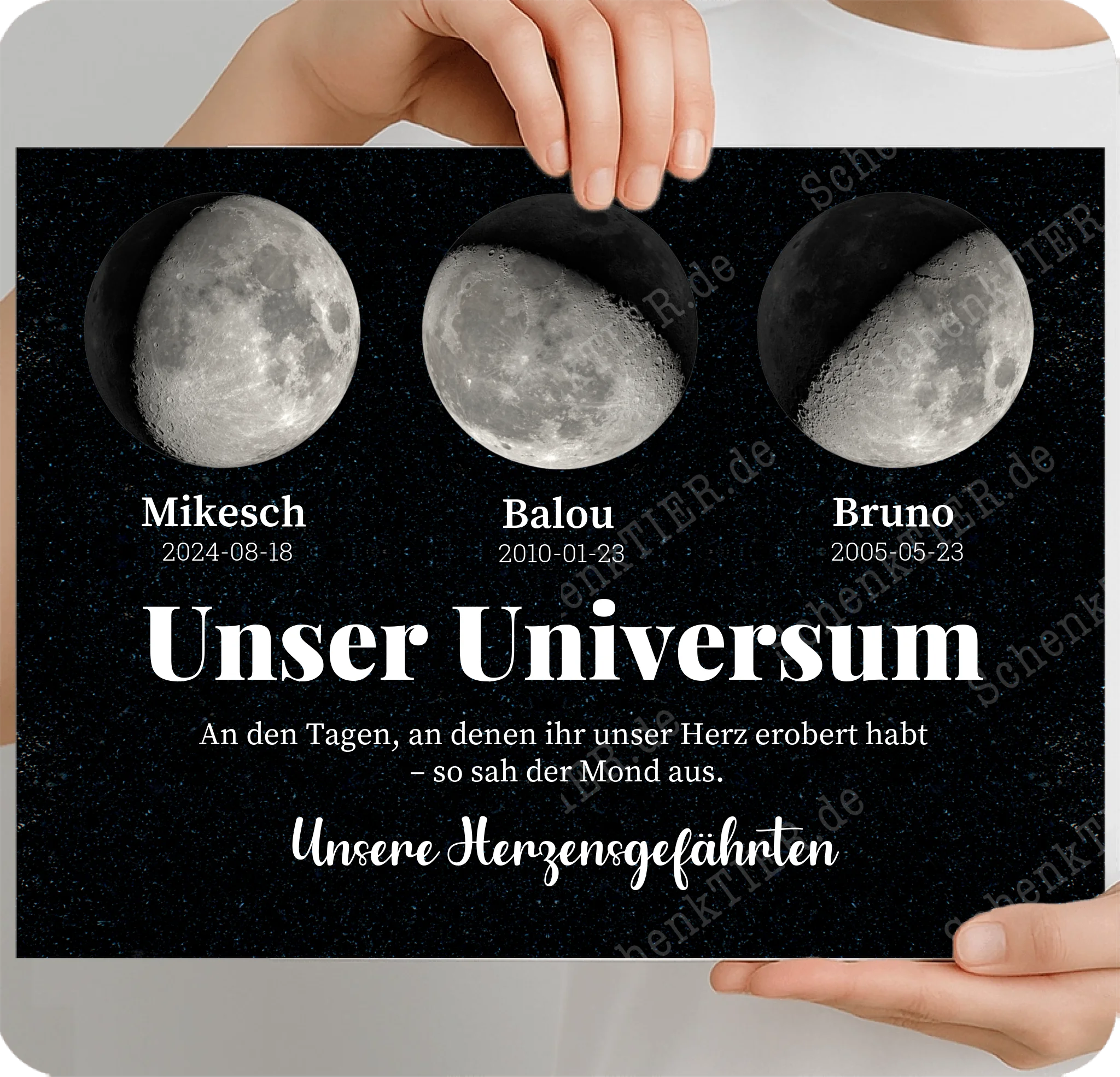 Poster 40 mal 30 Cm für Mondphasenbilder von Schenktier von links und rechts gehalten