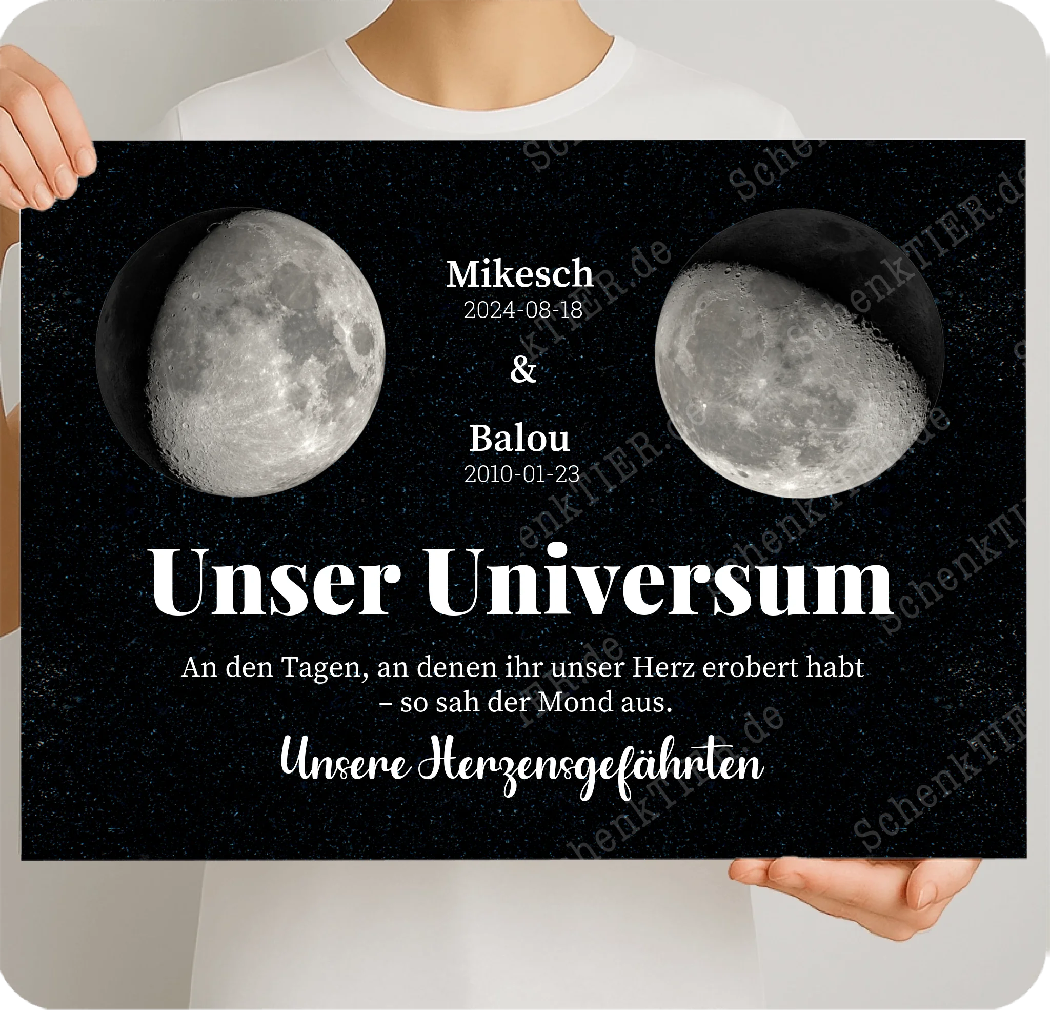 Poster 70 mal 50 Cm für Mondphasenbilder von Schenktier von links und rechts gehalten