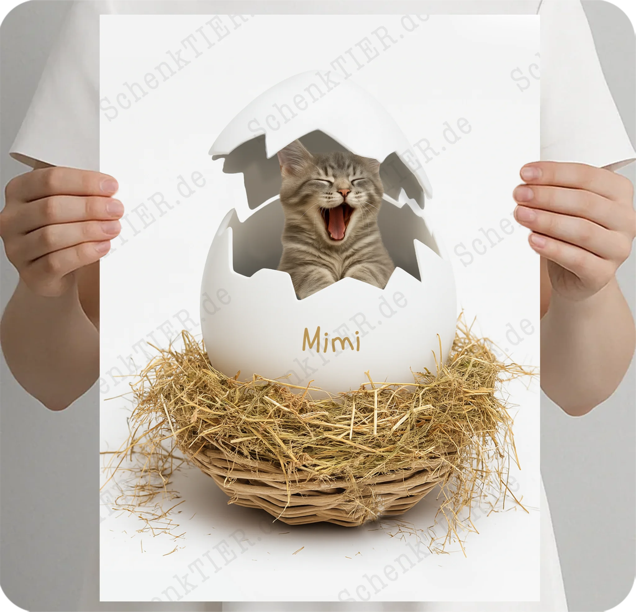 Poster 30x40 Cm von SchenkTIER