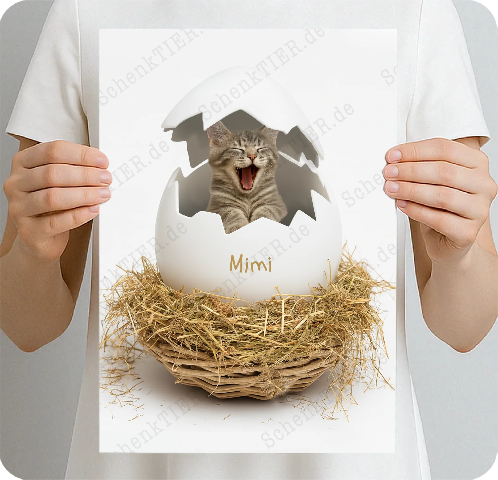 Poster DIN A4 von SchenkTIER