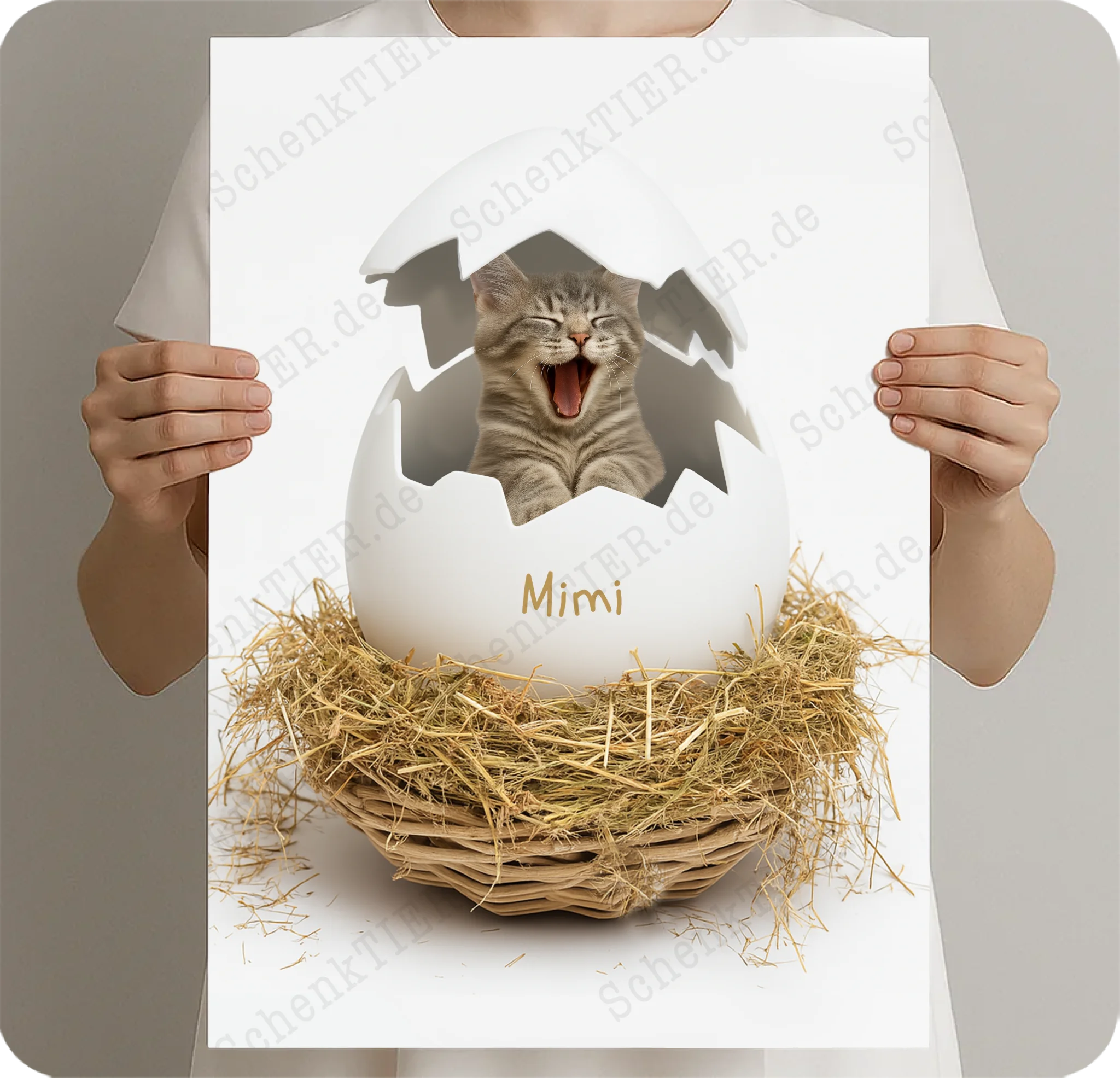 Poster 50 x 70 Cm von SchenkTIER