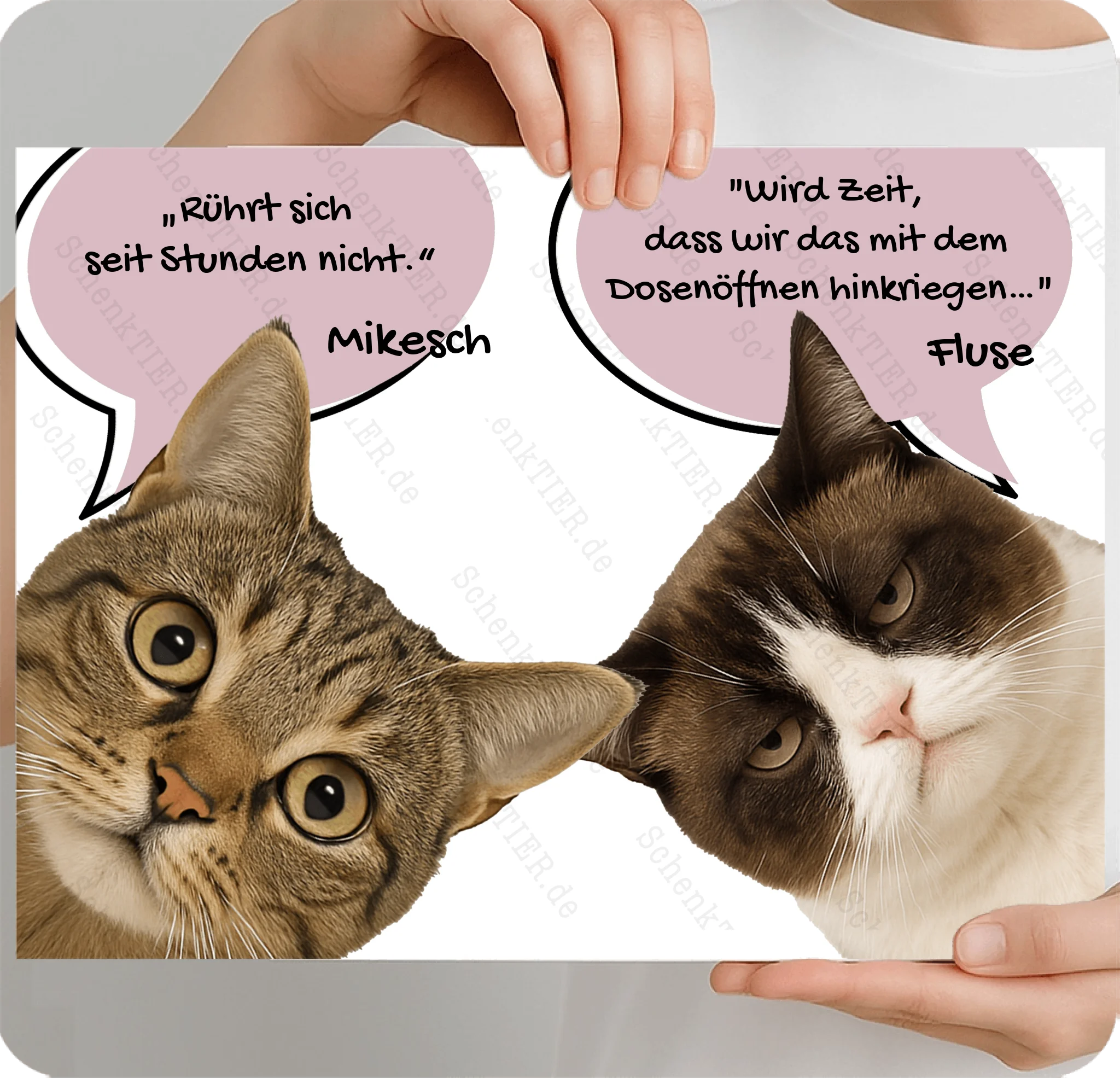 Poster 40 mal 30 Cm für Mondphasenbilder von Schenktier von links und rechts gehalten 